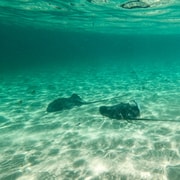 Katamaran-Mauritius-Kreuzfahrt an der Nordküste - Hizvo