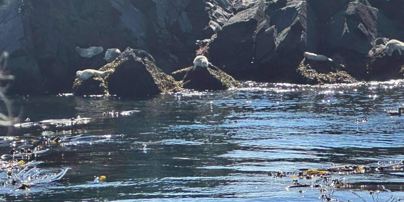 Guest photo from review