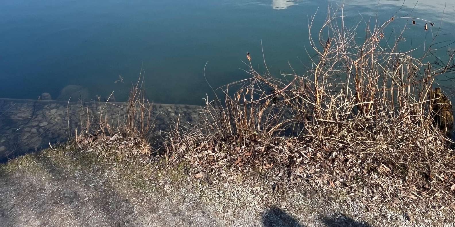 Guest photo from review