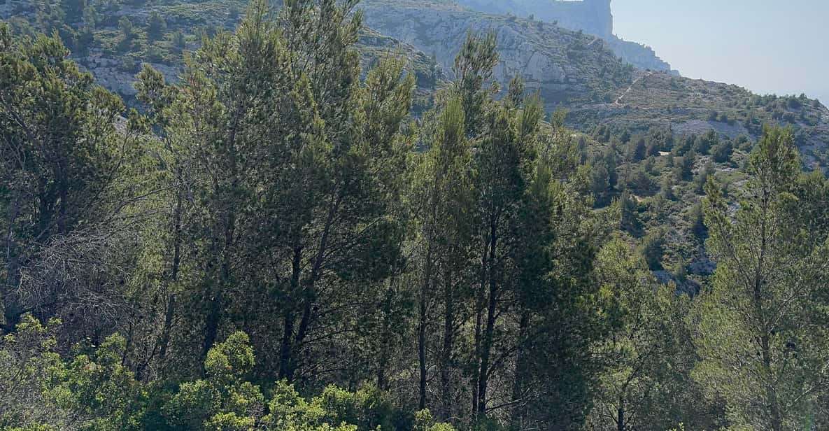 From Marseille: Calanques National Park Guided Hike