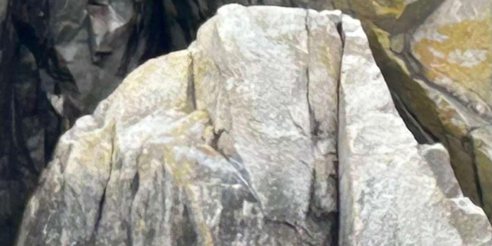 Guest photo from review