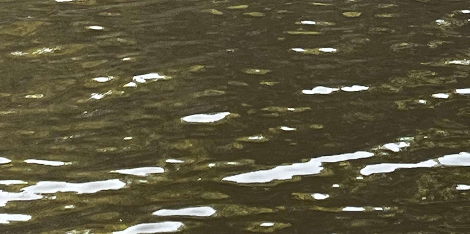 Guest photo from review