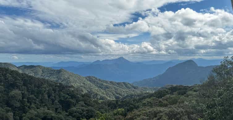 Galería de fotos para redes