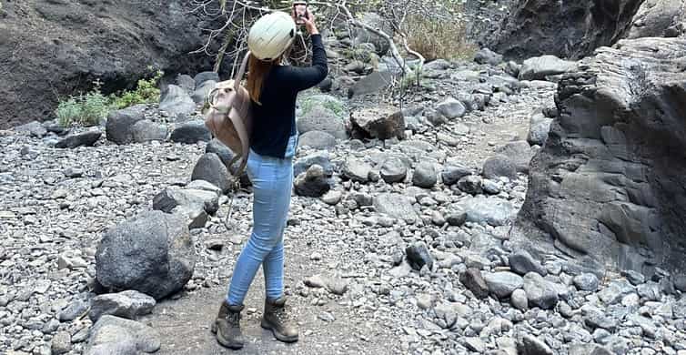 Galería de fotos para redes