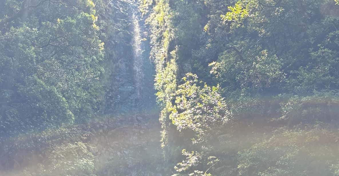 马德拉，徒步之旅-拉瓦萨尔 /25 Fontes - Hizvo