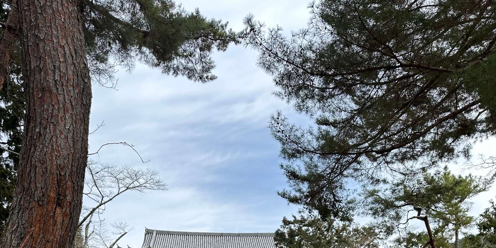 Guest photo from review