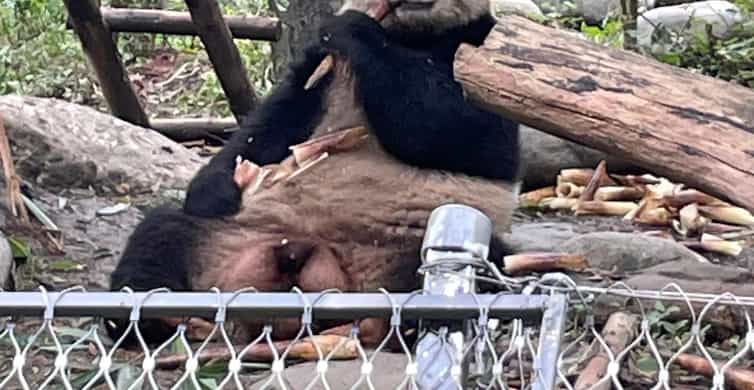 Galería de fotos para redes