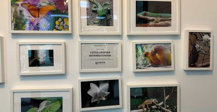 Mediencollage