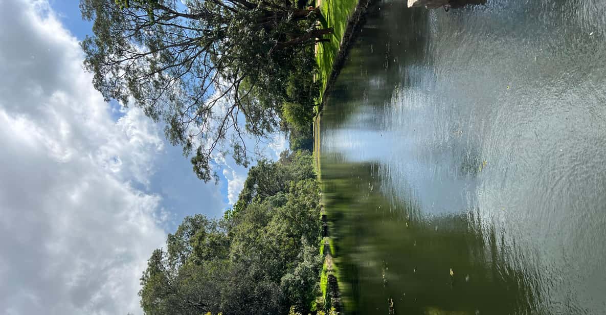 Colagem de mídia