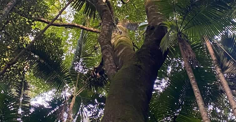 Colagem de mídia