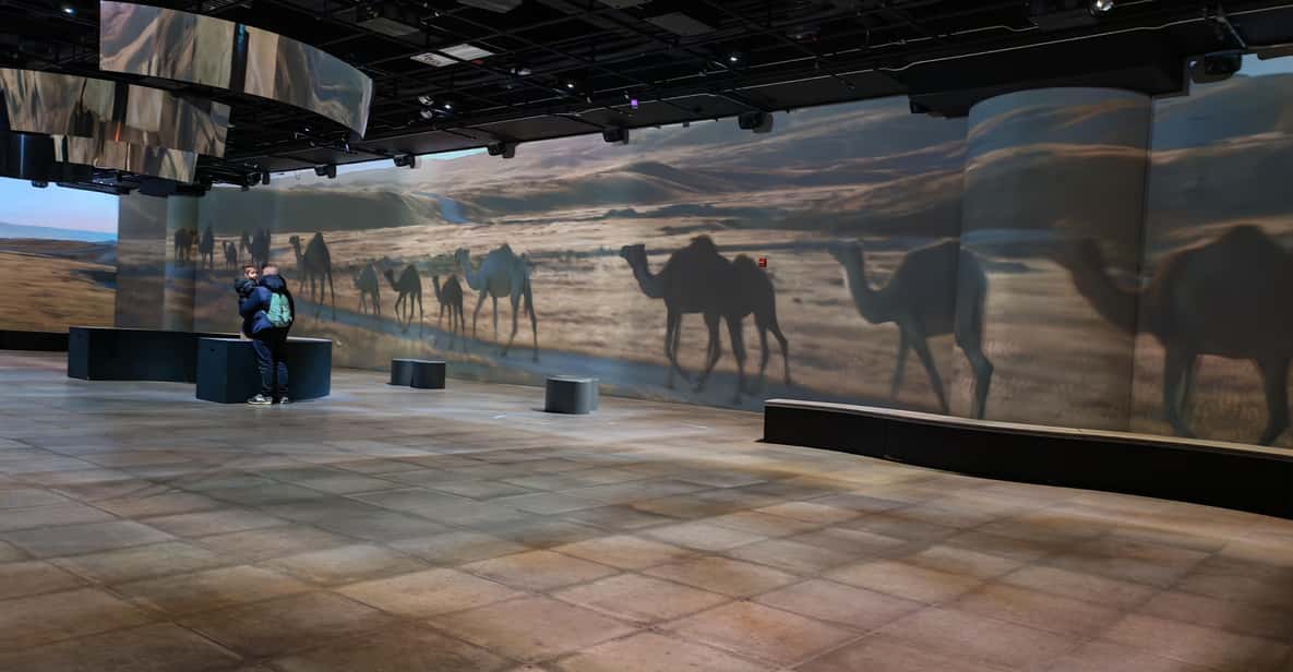 Montreal: OASIS Immersion Entry Ticket