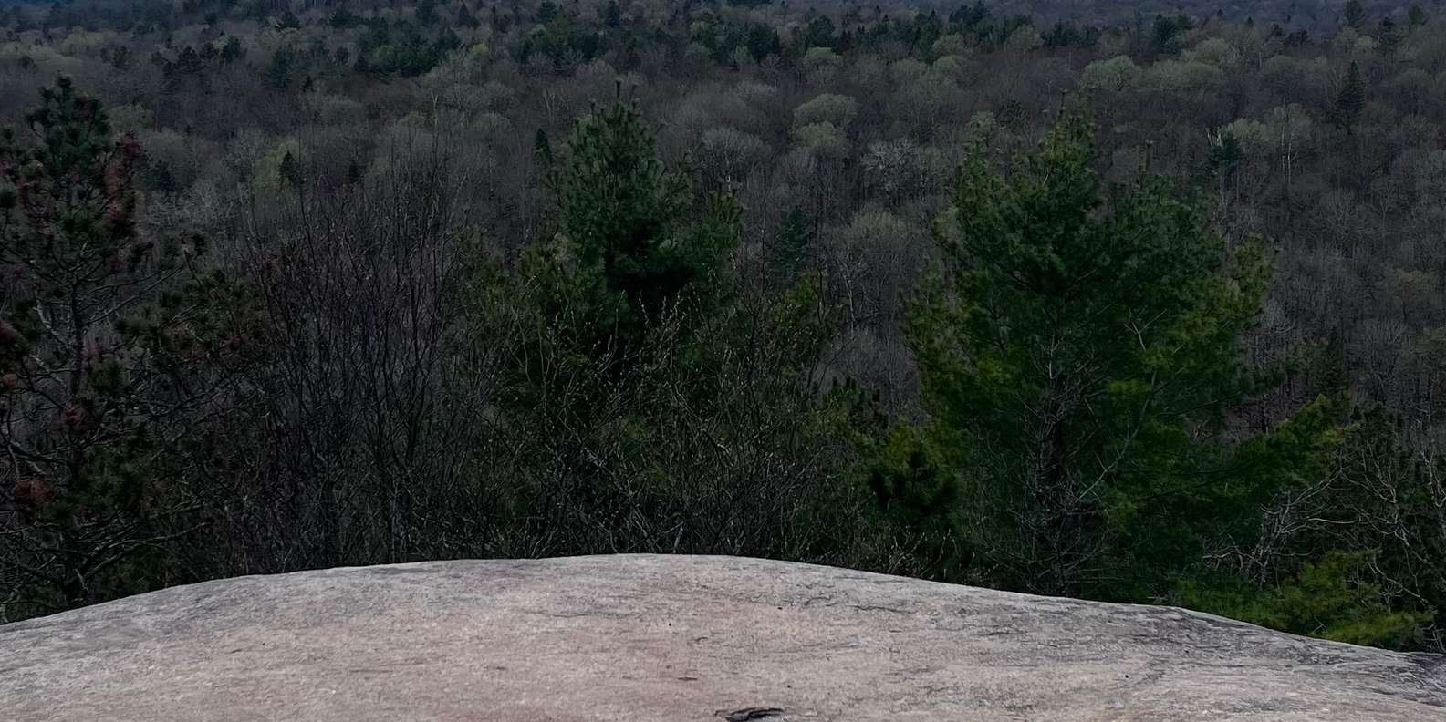 Guest photo from review