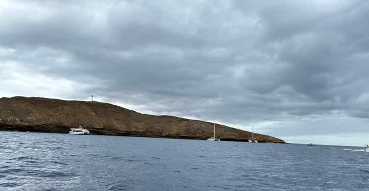 Molokini Crater Snorkel & Whale Watching (Dec 15 – Mar 30)