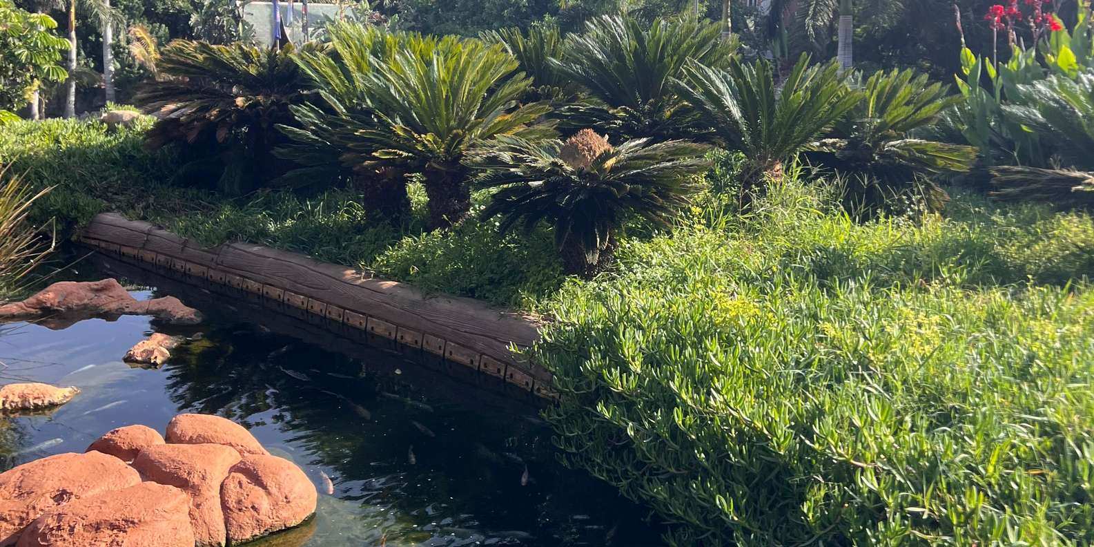 Guest photo from review
