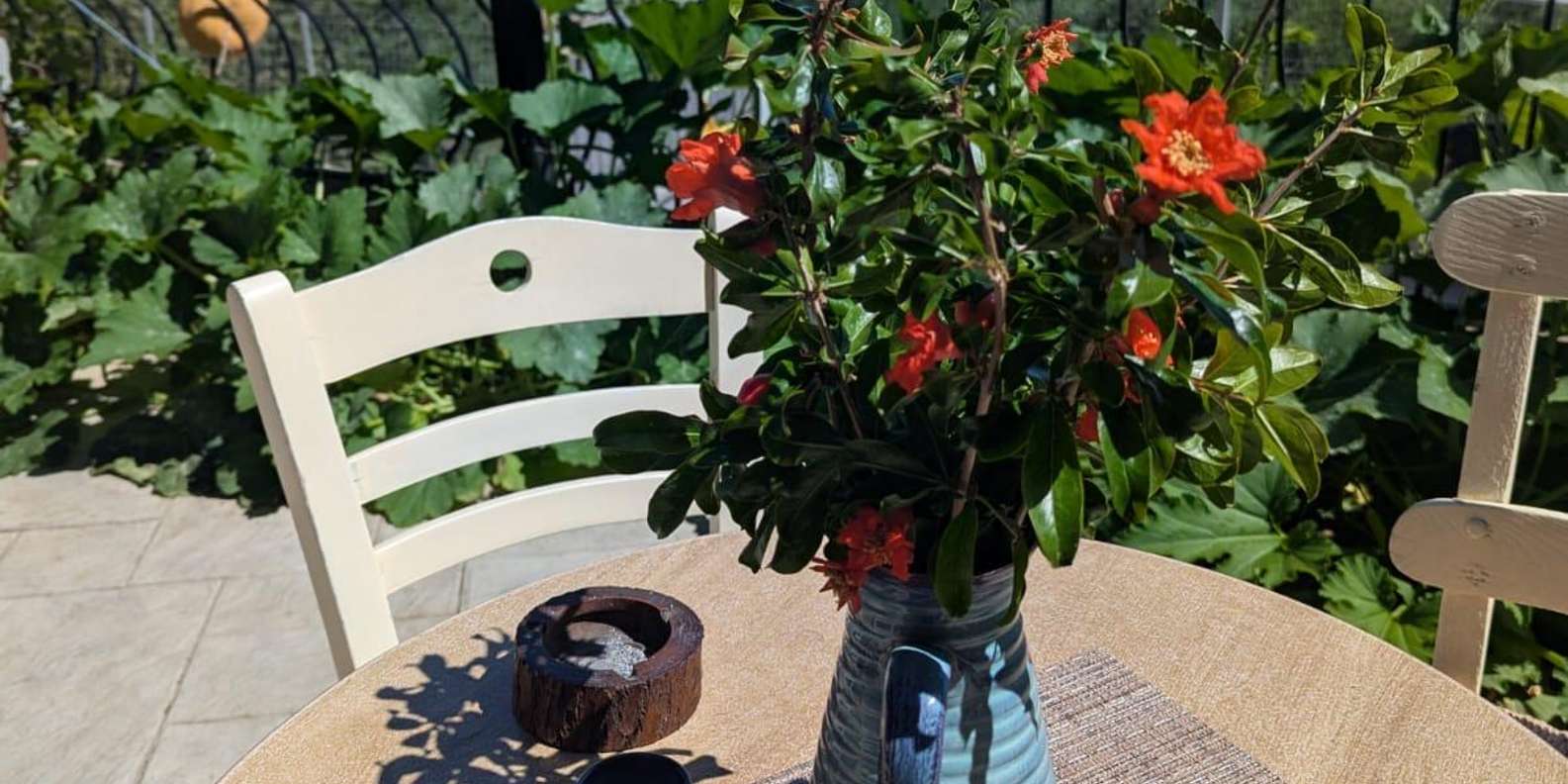Guest photo from review