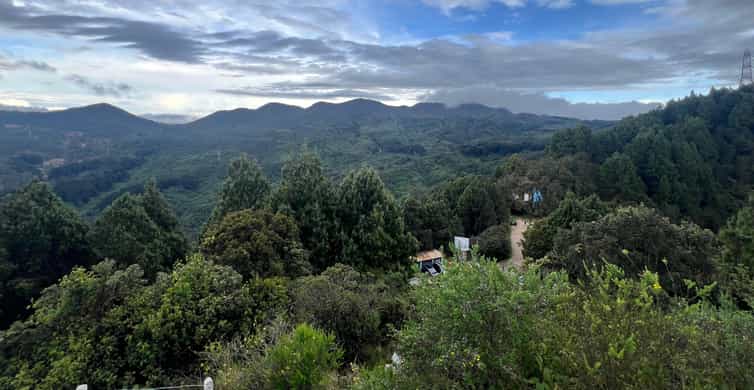 Colagem de mídia