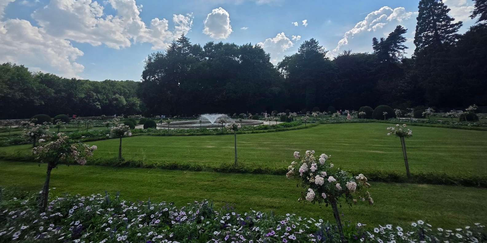 Guest photo from review