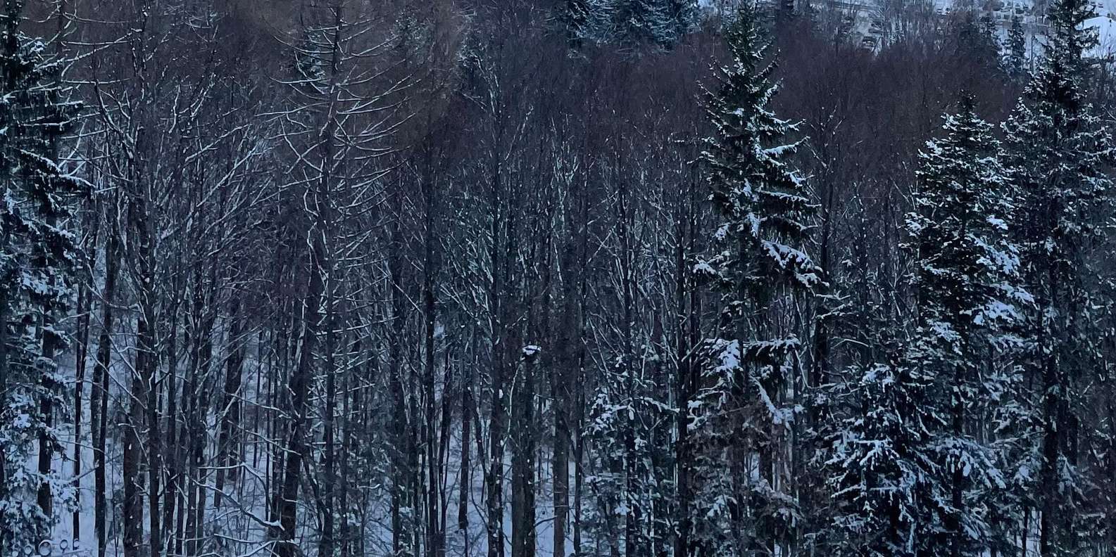 Foto di un viaggiatore da una recensione
