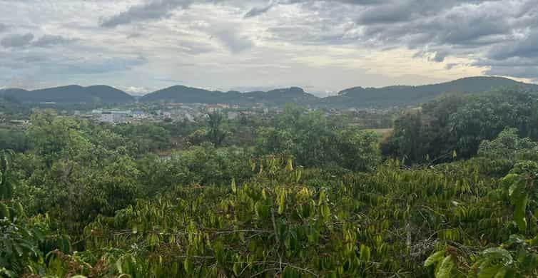 Galería de fotos para redes