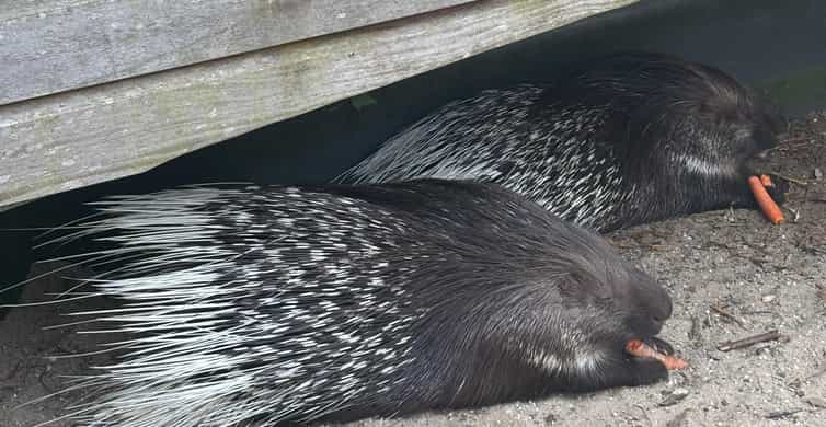 メディア コラージュ