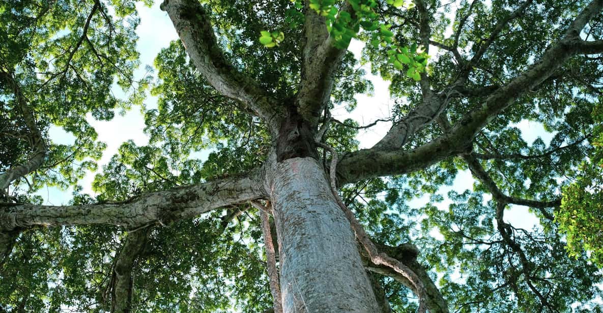 Colagem de mídia