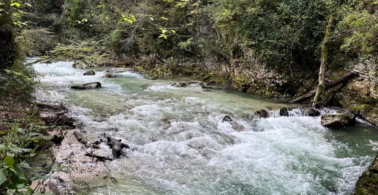 Galería de fotos para redes