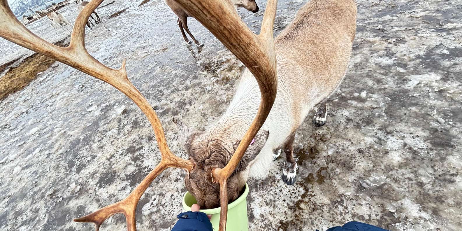 Guest photo from review