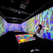 Chicago: Balloon Museum - EmotionAir - Entry Tickets