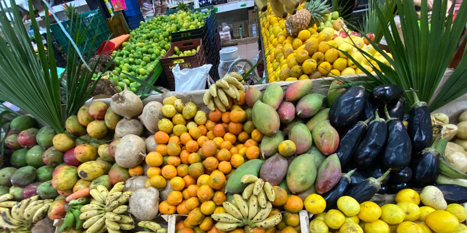 Guest photo from review