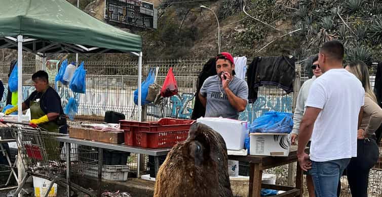 Galería de fotos para redes
