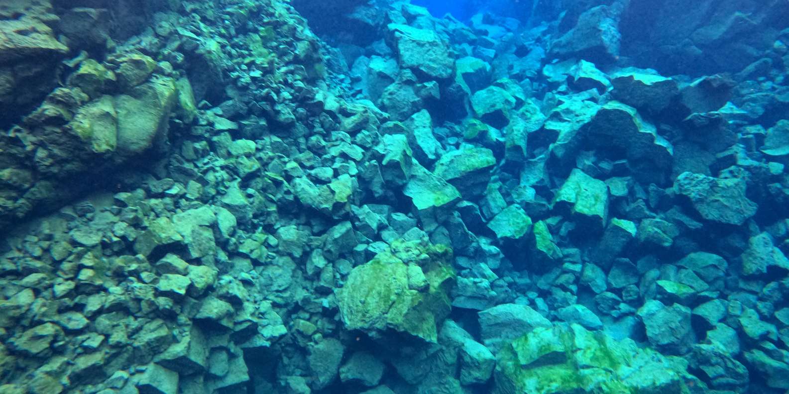 Guest photo from review