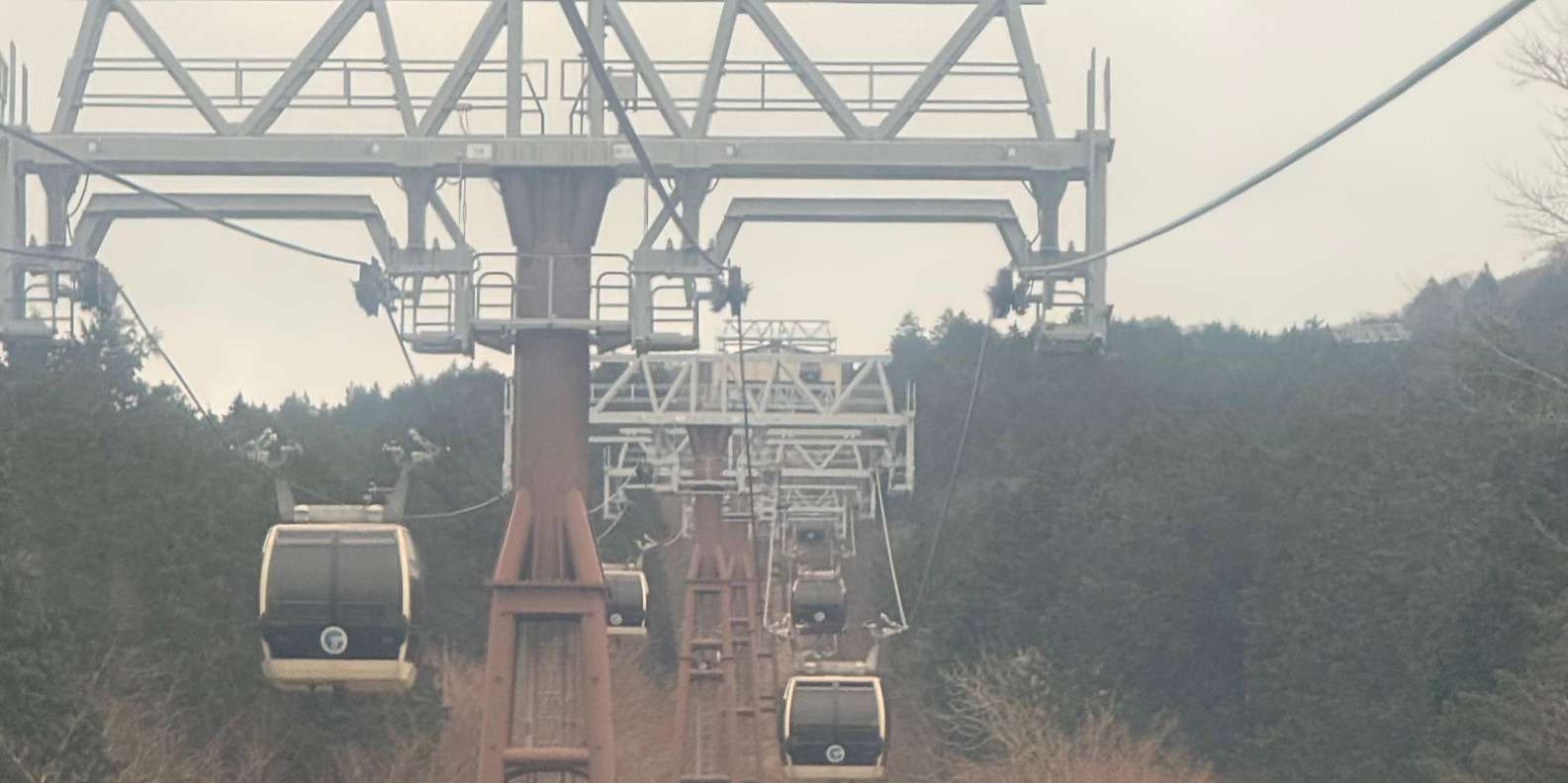 Guest photo from review