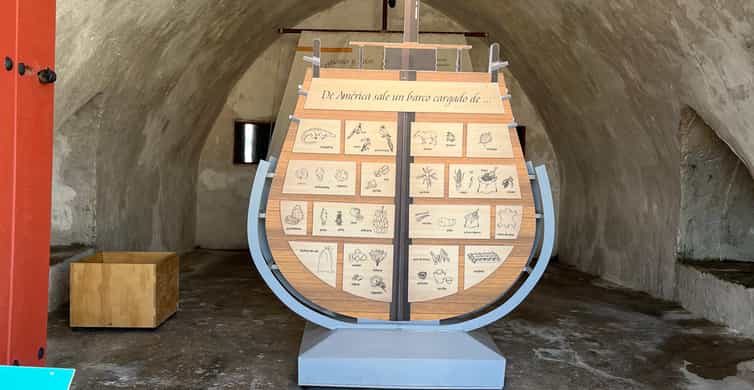 Colagem de mídia