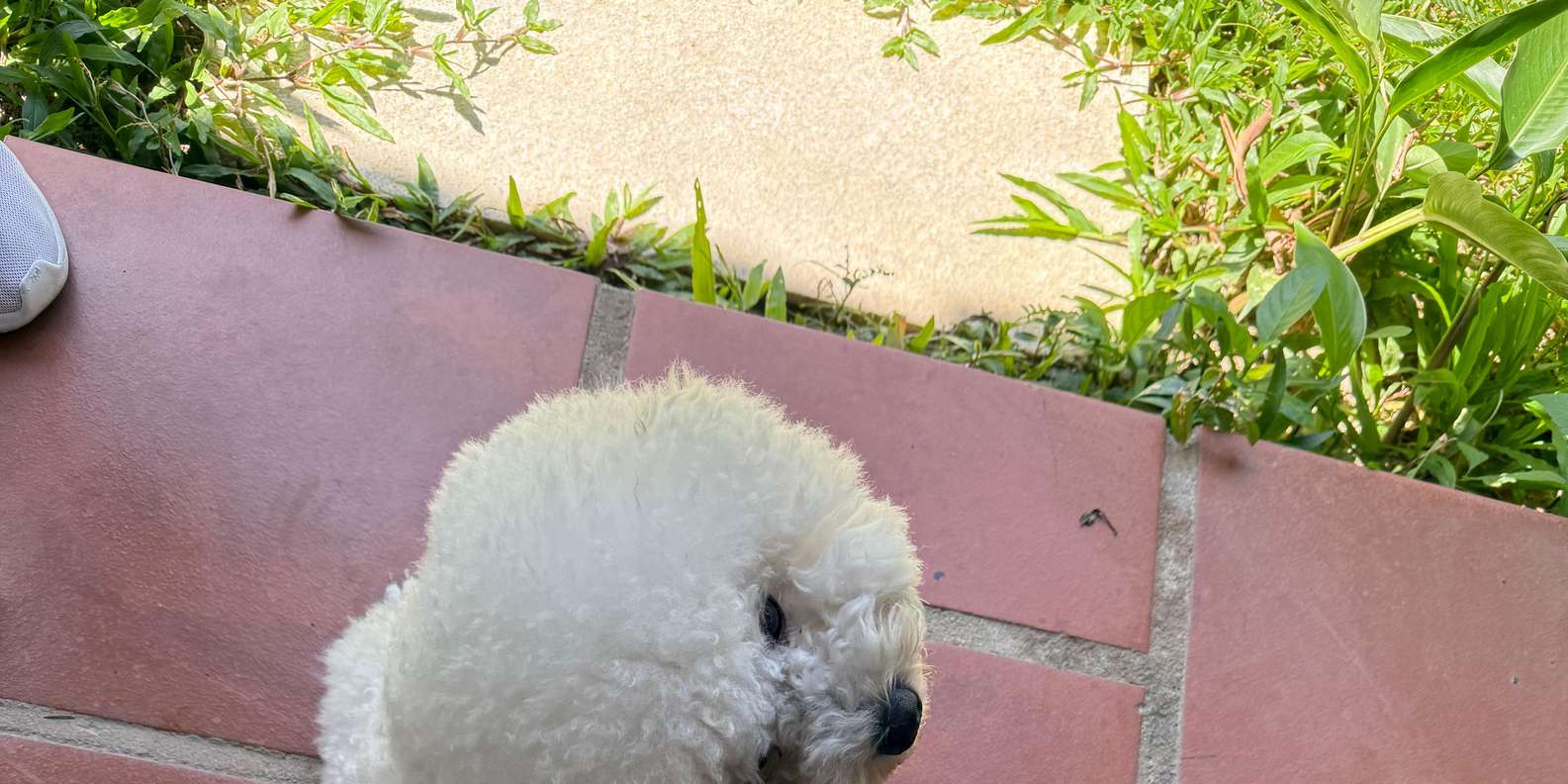 Guest photo from review