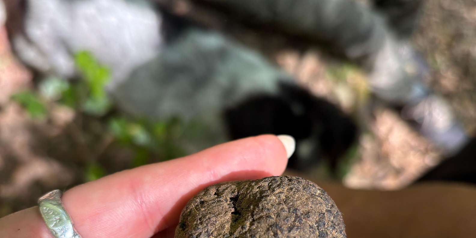Guest photo from review