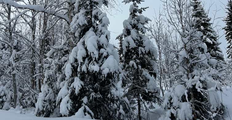 Медиаколлаж