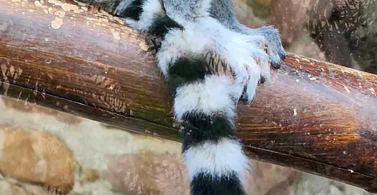 Colagem de mídia