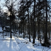 Review Image 2