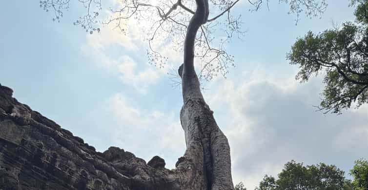 Colagem de mídia