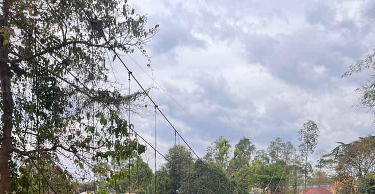 Colagem de mídia