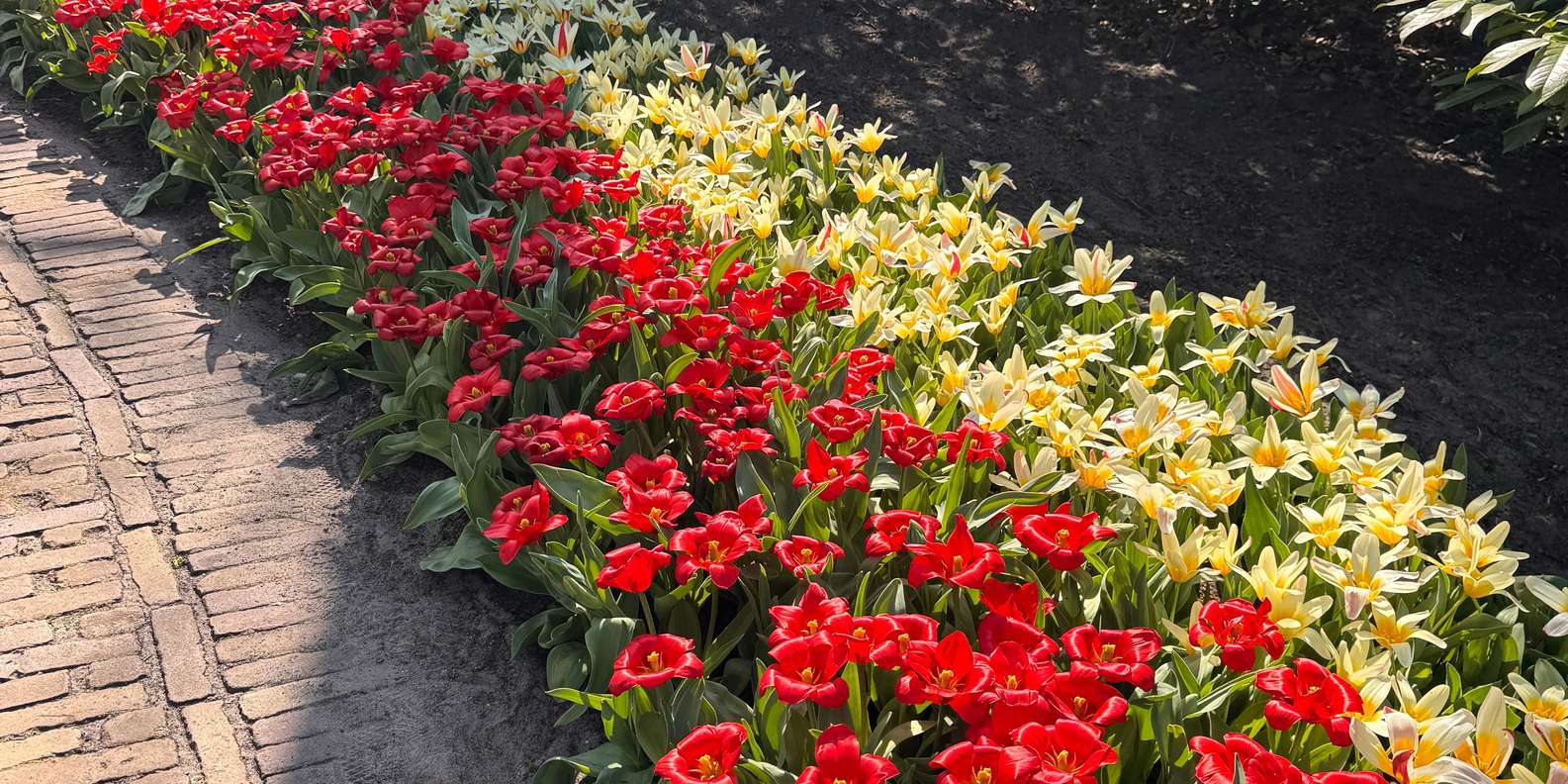 Guest photo from review