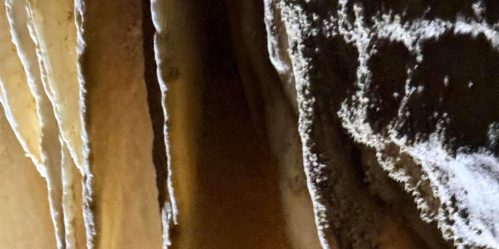 Guest photo from review