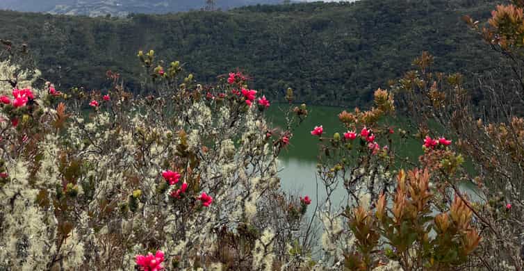Colagem de mídia