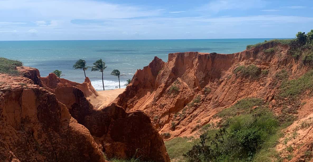 Galería de fotos para redes