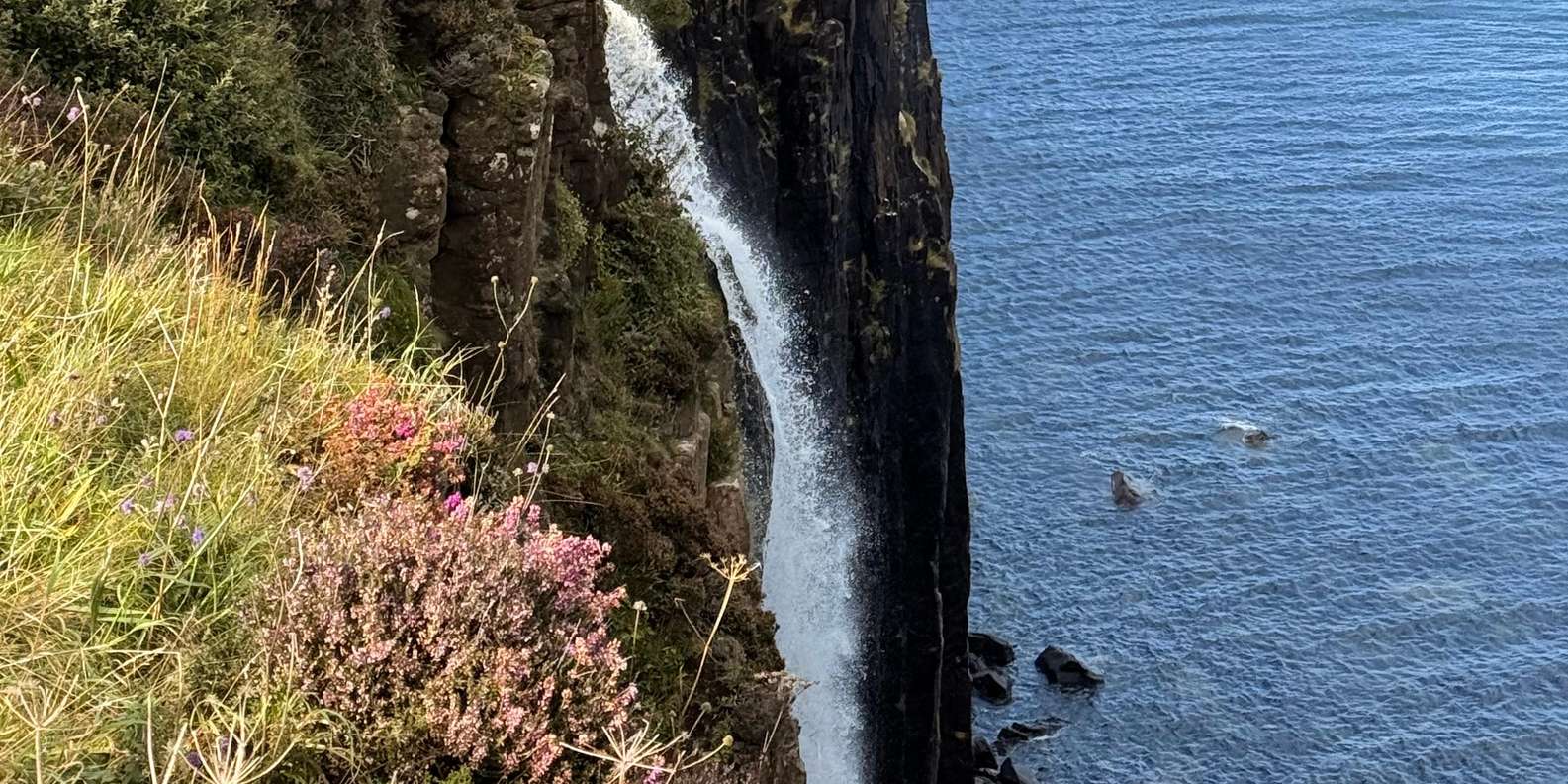 Guest photo from review