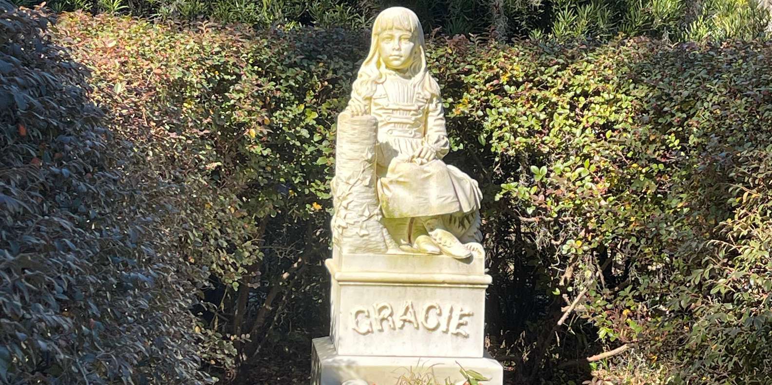 Guest photo from review
