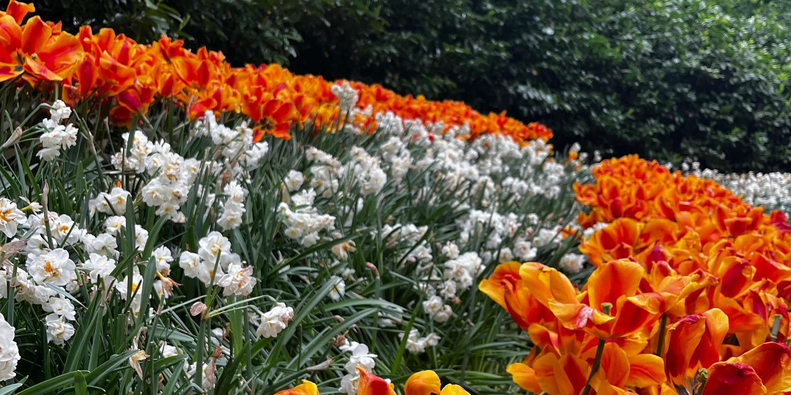 Guest photo from review