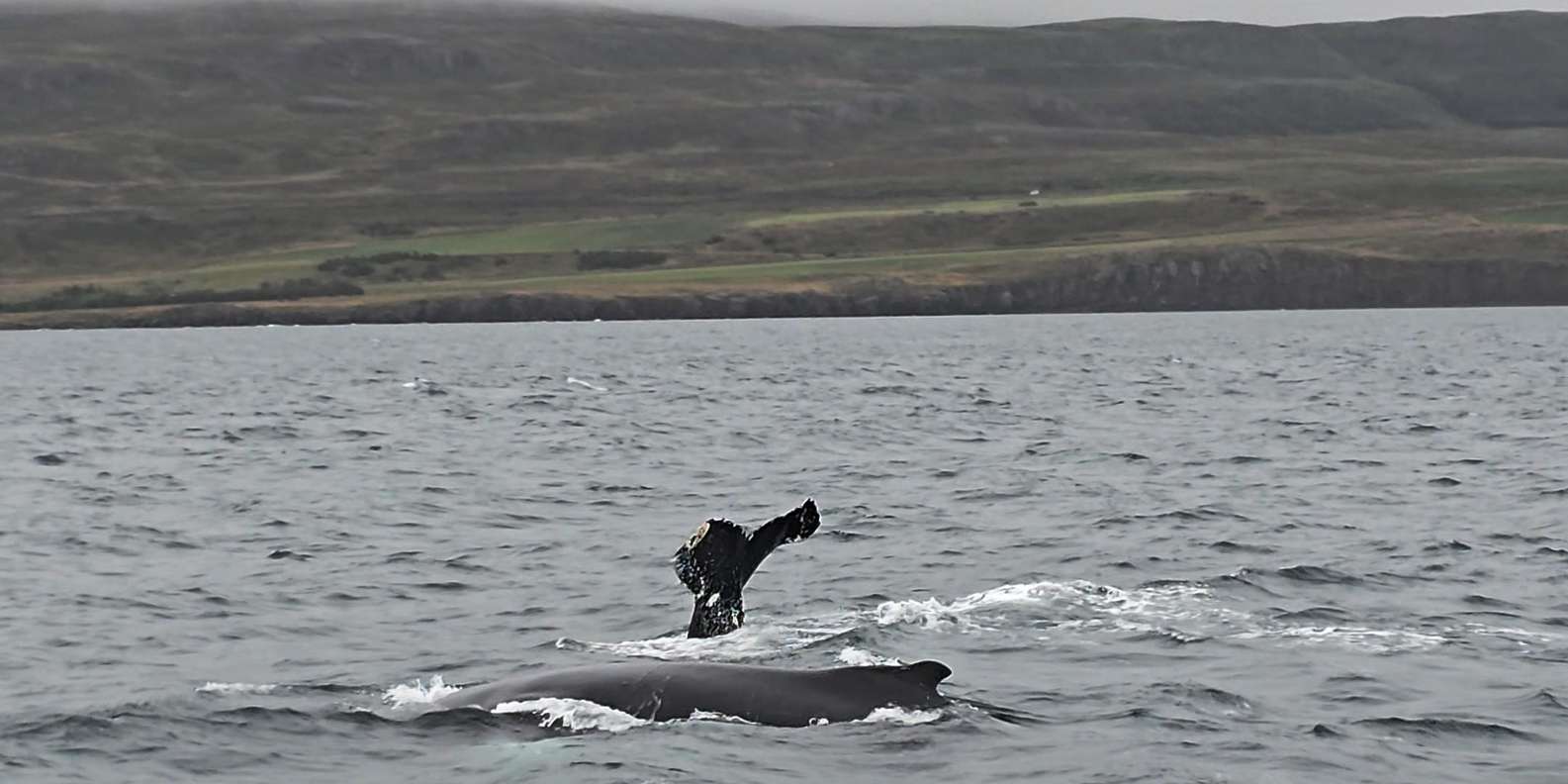 Guest photo from review