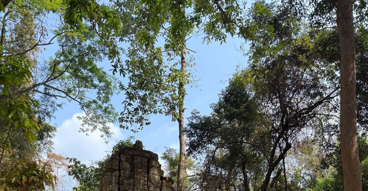 Colagem de mídia