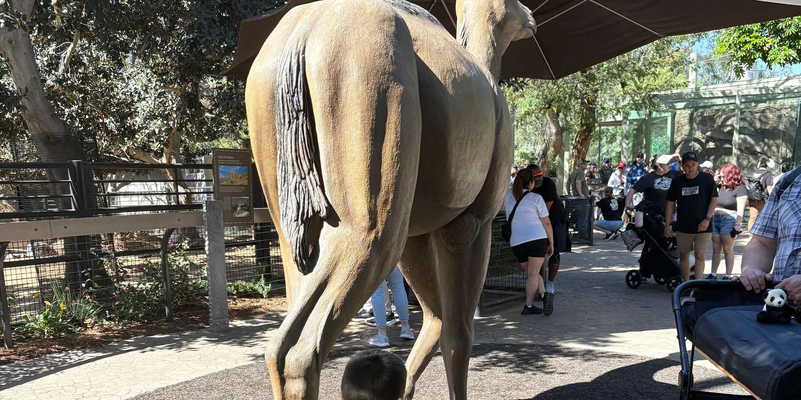 Guest photo from review